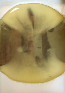 Noor van Nuenen Noor van Nuenen