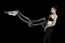 Exoskeltal - Christiaan Zwanikken - installatie Brandpunt