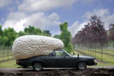 Olaf Mooij: Braincar