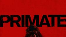 Primate Primate