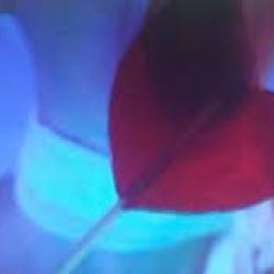 Still uit 'video-installatie' bij STUDENTEN@IDFX