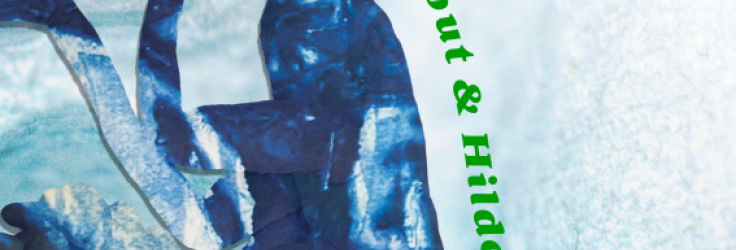 Feet in the Clouds, Head on the Ground