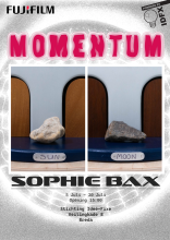 Momentum#1 - Sophia Bax